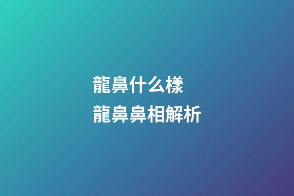 龍鼻什么樣 龍鼻鼻相解析